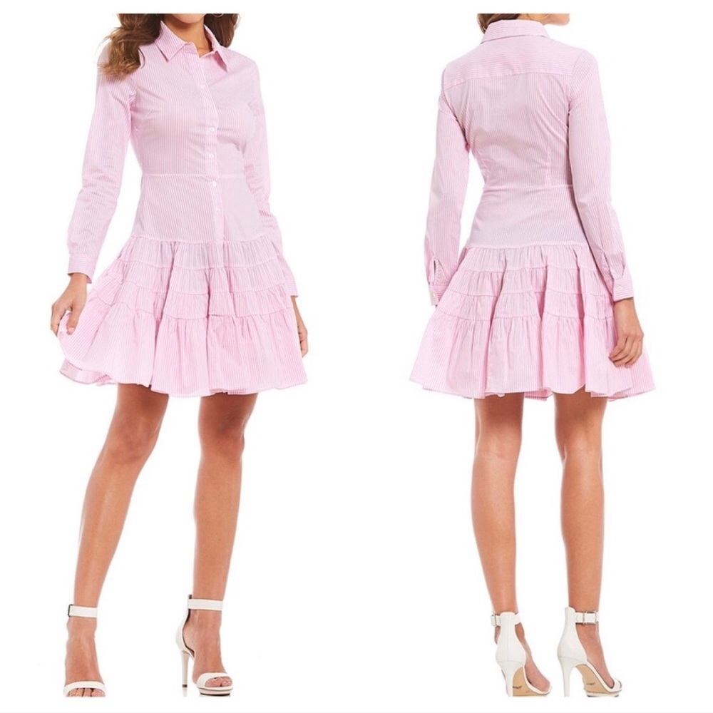 Gianni Bini Peony Stripe Shirt Dress Fit and Flare